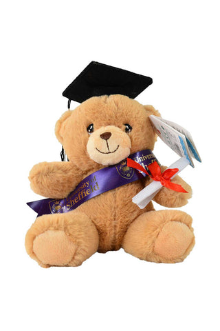 Eco Graduation Bear