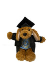 Graduation Outfit for Bear