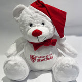 New Logo University of Sheffield Christmas Bear