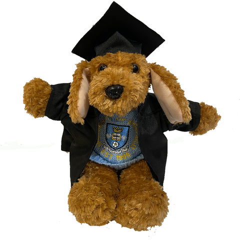 Graduation Outfit for Bear